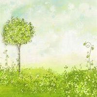 唯美好看榕树微信头像