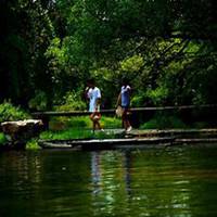 唯美好看榕树微信头像