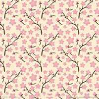 唯美好看樱花微信头像