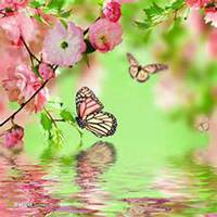 唯美好看樱花微信头像