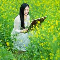 唯美好看油菜花微信头像