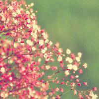 唯美好看满天星微信头像