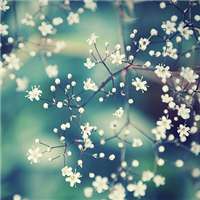 唯美好看满天星微信头像