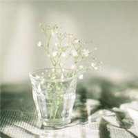 唯美好看满天星微信头像