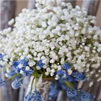 唯美好看满天星微信头像