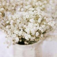 唯美好看满天星微信头像