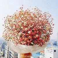 唯美好看满天星微信头像