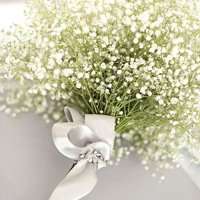 唯美好看满天星微信头像