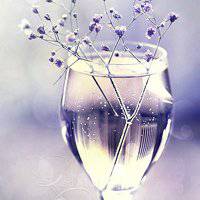 唯美好看满天星微信头像