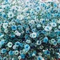 唯美好看满天星微信头像