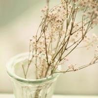 唯美好看满天星微信头像