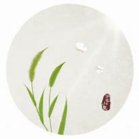 唯美好看狗尾巴草微信头像