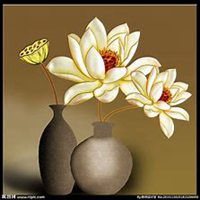 唯美好看玉兰花微信头像