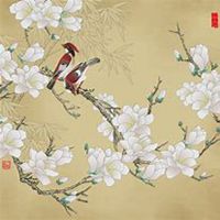 唯美好看玉兰花微信头像