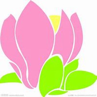 唯美好看玉兰花微信头像