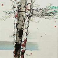 唯美好看白桦树微信头像图片