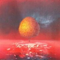 唯美好看白桦树微信头像图片