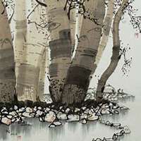 唯美好看白桦树微信头像图片