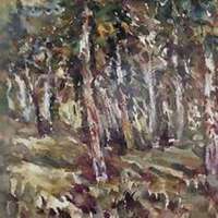 唯美好看白桦树微信头像图片