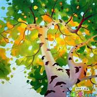 唯美好看白桦树微信头像图片