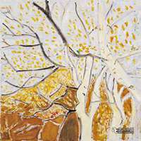 唯美好看白桦树微信头像图片