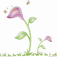 唯美好看百合花微信头像