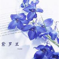 唯美好看紫罗兰微信头像