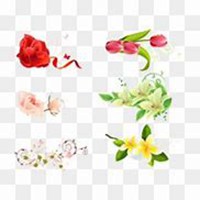 唯美好看紫薇花微信头像