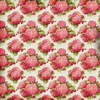 唯美好看绣球花微信头像