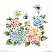 唯美好看绣球花微信头像