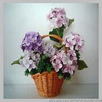 唯美好看绣球花微信头像