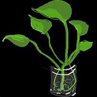 唯美好看绿萝微信头像