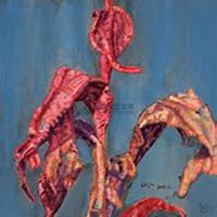 唯美好看美人蕉花朵微信头像