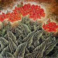 唯美好看美人蕉花朵微信头像