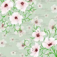 唯美好看芙蓉微信头像