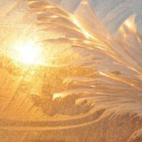 唯美好看芦苇微信头像