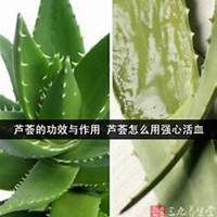 唯美好看芦荟微信头像