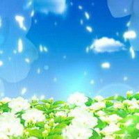 唯美好看茉莉花微信头像