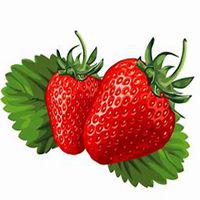 唯美好看草莓微信头像