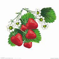 唯美好看草莓微信头像