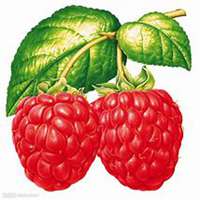 唯美好看草莓微信头像