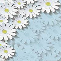 唯美好看菊花头像