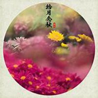 唯美好看菊花头像