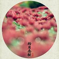 唯美好看菊花头像