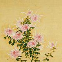 唯美好看菊花头像