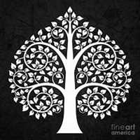 唯美好看菩提树微信头像