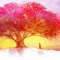 唯美好看菩提树微信头像