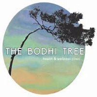 唯美好看菩提树微信头像