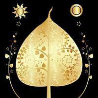 唯美好看菩提树微信头像