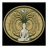 唯美好看菩提树微信头像